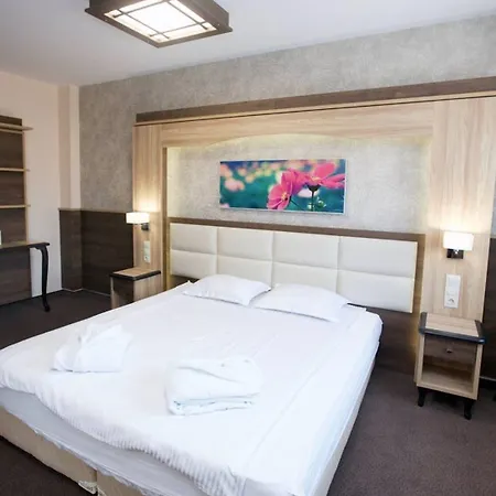 מלון Zoo 4*